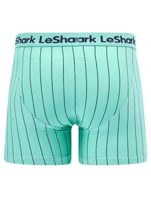 Stefton (2 Pack) Pinstripe Boxer Shorts Set in Dusty Jade Green / Limoges Blue - Le Shark