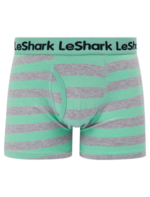 Goldbrook (2 Pack) Striped Boxer Shorts Set in Dusty Jade Green / Light Grey Marl - Le Shark