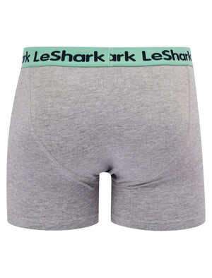 Goldbrook (2 Pack) Striped Boxer Shorts Set in Dusty Jade Green / Light Grey Marl - Le Shark