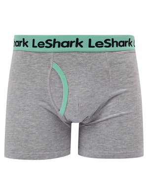 Goldbrook (2 Pack) Striped Boxer Shorts Set in Dusty Jade Green / Light Grey Marl - Le Shark