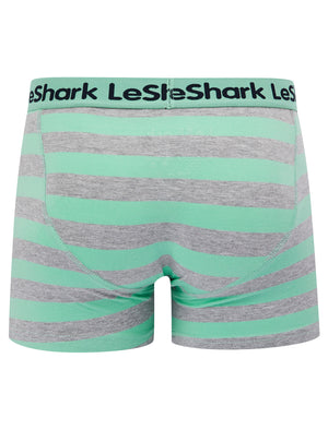 Goldbrook (2 Pack) Striped Boxer Shorts Set in Dusty Jade Green / Light Grey Marl - Le Shark