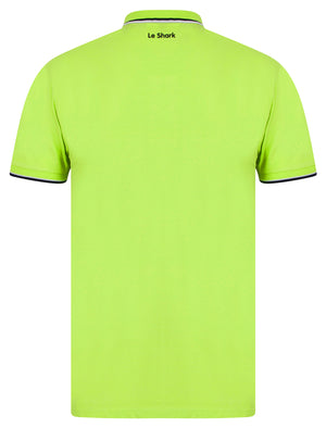 Lincoln Stretch Cotton Pique Polo Shirt with Tipping in Opaline Green - Le Shark