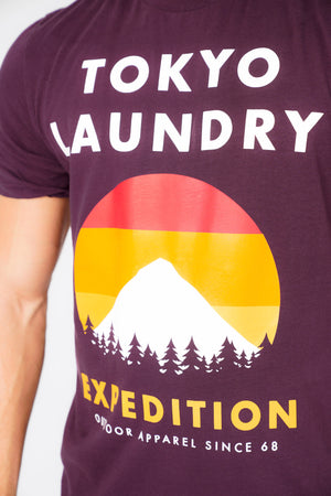 Platfield Motif Cotton Jersey T-Shirt In Plum Perfect - Tokyo Laundry