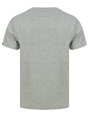Cohutta Motif Cotton Jersey T-Shirt in Light Grey Marl - Tokyo Laundry
