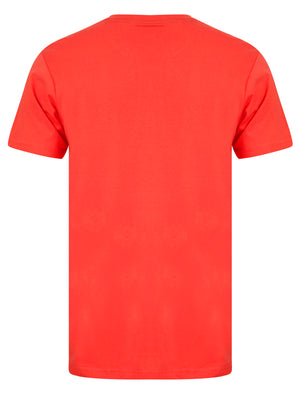 Palm Beach Motif Cotton Jersey T-Shirt in Hot Coral - South Shore