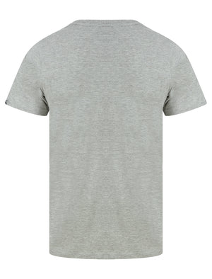 Ferndale Motif Cotton Jersey T-Shirt in Light Grey Marl - Tokyo Laundry