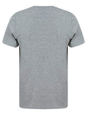 Ticaboos Applique Motif Cotton Jersey T-Shirt in Light Grey Marl - Tokyo Laundry