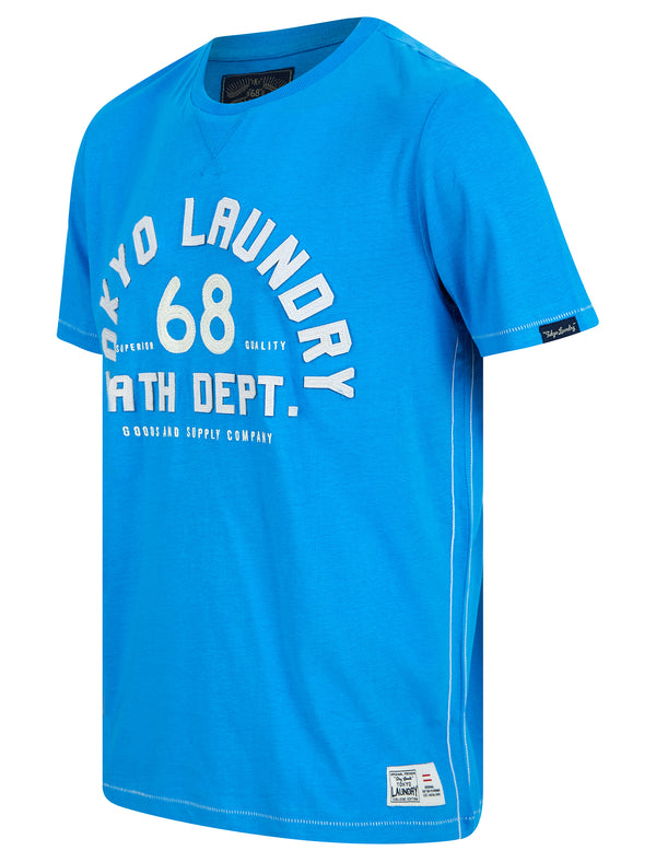 Hamberts 2 Felt Applique Motif Cotton Jersey T-Shirt in Blithe Blue - Tokyo Laundry