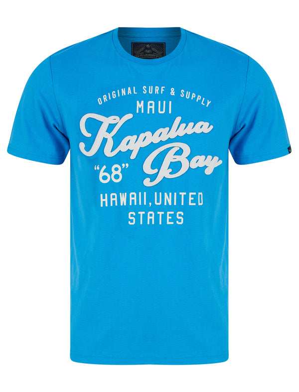 Kapaluas Applique Motif Cotton Jersey T-Shirt in Blithe Blue - Tokyo Laundry