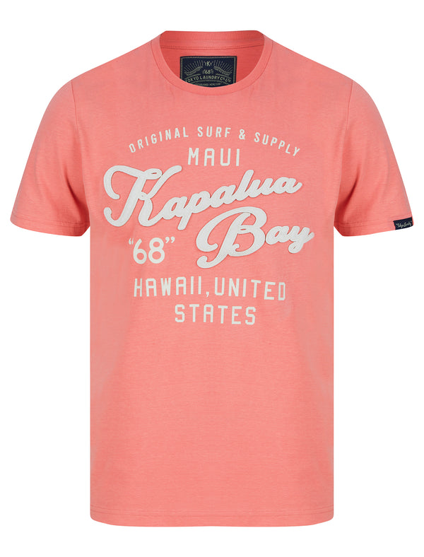Kapaluas Applique Motif Cotton Jersey T-Shirt in Peach Blossom - Tokyo Laundry