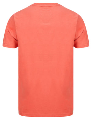 Dischord Motif Cotton Jersey T-Shirt in Faded Peach - Tokyo Laundry