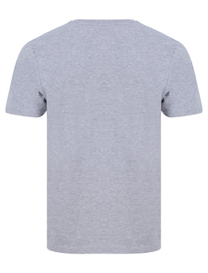 Bluesy Tee Motif Cotton Jersey T-Shirt in Light Grey Marl - Tokyo Laundry