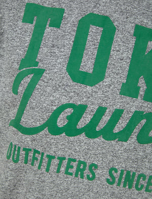 Underline Motif Cotton Jersey Grindle T-Shirt in Light Grey - Tokyo Laundry