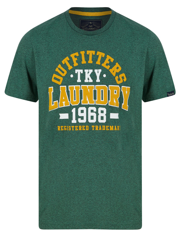 Edit Motif Cotton Jersey Grindle T-Shirt in Green - Tokyo Laundry