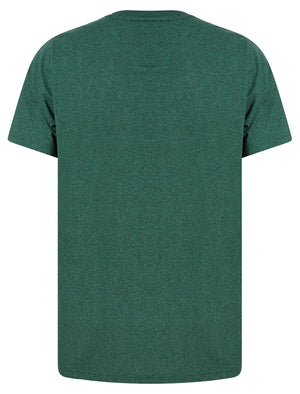 Edit Motif Cotton Jersey Grindle T-Shirt in Green - Tokyo Laundry