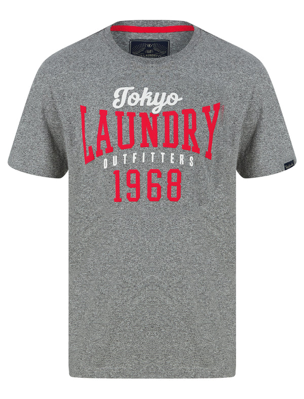 Search Motif Cotton Jersey Grindle T-Shirt in Light Grey - Tokyo Laundry