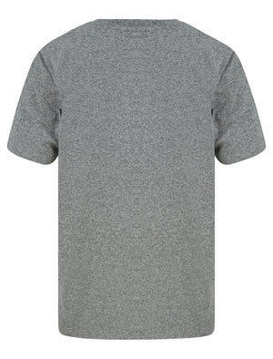 Search Motif Cotton Jersey Grindle T-Shirt in Light Grey - Tokyo Laundry