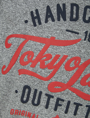 Raiser Motif Cotton Jersey Grindle T-Shirt in Light Grey - Tokyo Laundry
