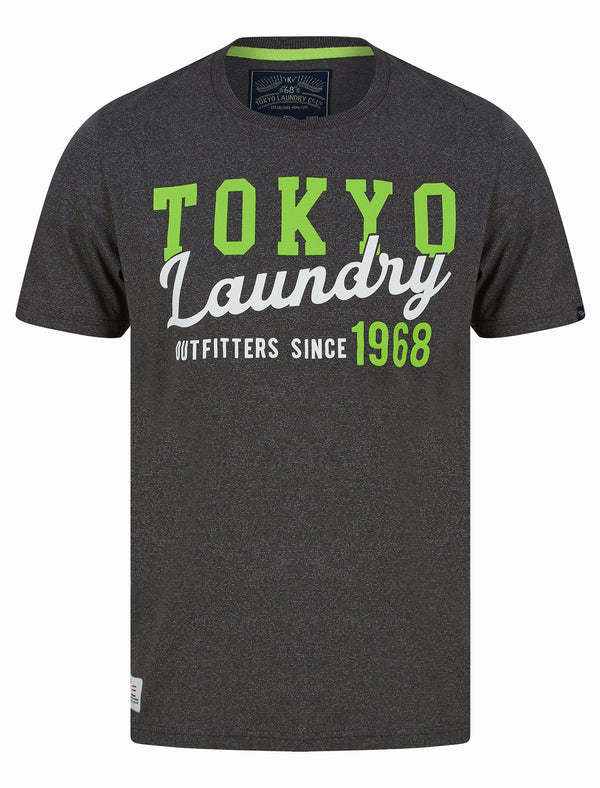 Within Motif Microstripe Cotton Jersey T-Shirt in Dark Grey - Tokyo Laundry