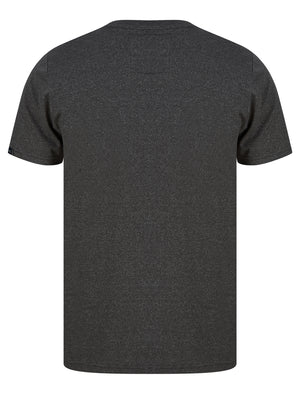 Within Motif Microstripe Cotton Jersey T-Shirt in Dark Grey - Tokyo Laundry