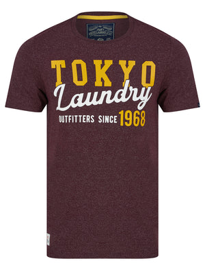 Within Motif Microstripe Cotton Jersey T-Shirt in Wine - Tokyo Laundry