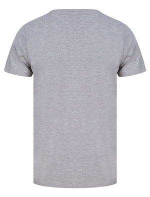 Nashville Wings Motif Cotton Jersey T-Shirt in Light Grey Marl - South Shore