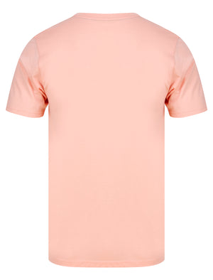 Bout Signature Motif Cotton Jersey T-Shirt in Coral Cloud - Tokyo Laundry