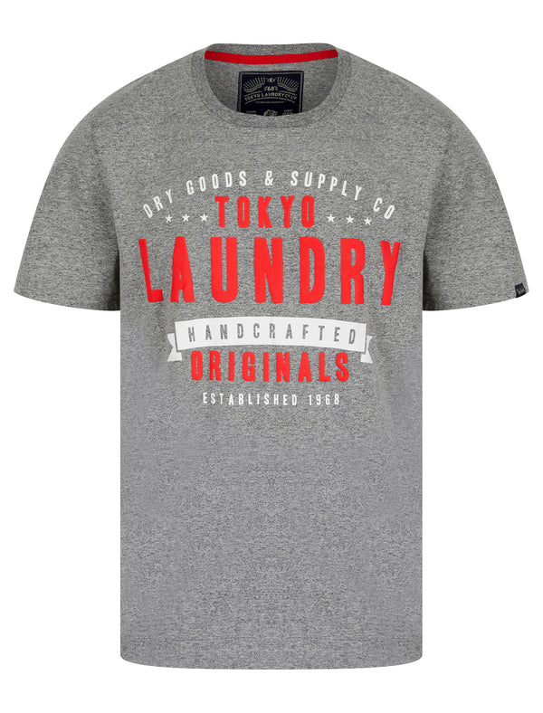 Imperium Motif Cotton Jersey Grindle T-Shirt in Light Grey - Tokyo Laundry