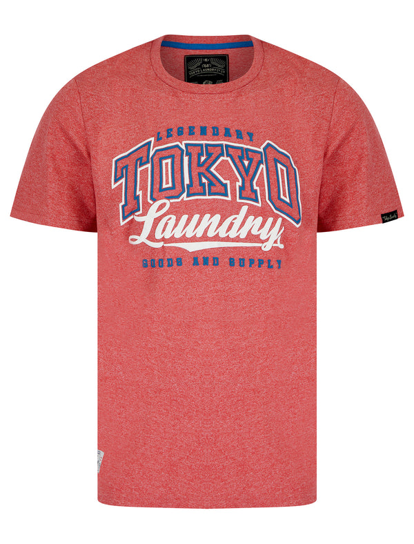 Prema Motif Cotton Jersey Grindle T-Shirt in Light Red - Tokyo Laundry