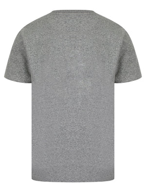 Stars 68 Motif Cotton Jersey Grindle T-Shirt in Light Grey - Tokyo Laundry