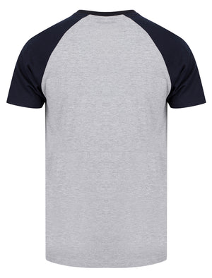 Catalyst Baseball Style Raglan Sleeve Crew Neck T-Shirt in Light Grey Marl - Tokyo Laundry