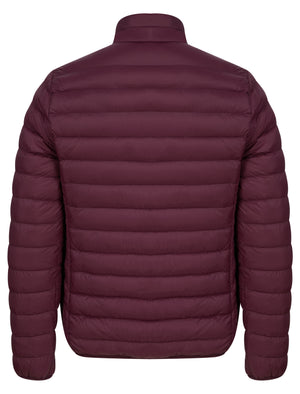 Ica Funnel Neck Quilted Puffer Jacket with Fleece Lined Collar in Tawny Port - Tokyo Laundry