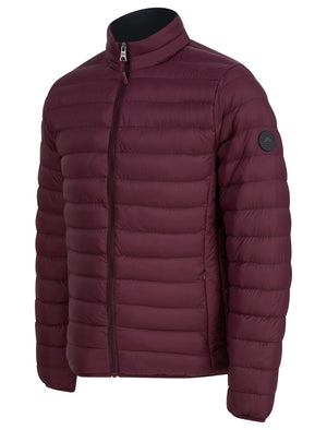 Ica Funnel Neck Quilted Puffer Jacket with Fleece Lined Collar in Tawny Port - Tokyo Laundry