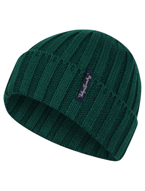 Men's Arnkell Chunky Ribbed Knit Beanie Hat in Posy Green - Tokyo Laundry