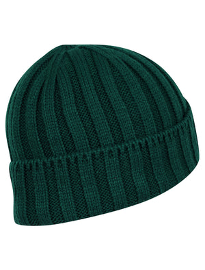 Men's Arnkell Chunky Ribbed Knit Beanie Hat in Posy Green - Tokyo Laundry