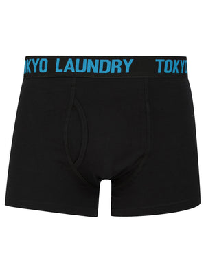Spafield (2 Pack) Boxer Shorts Set in Purple Heather / Blue Moon - Tokyo Laundry