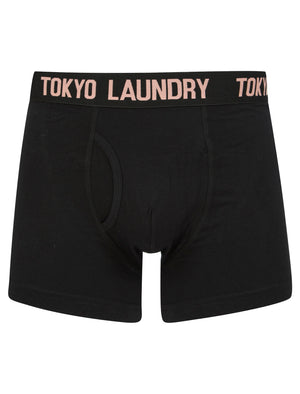 Spafield (2 Pack) Boxer Shorts Set in Limpet Shell / Peach Amber - Tokyo Laundry