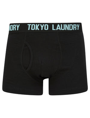 Spafield (2 Pack) Boxer Shorts Set in Limpet Shell / Peach Amber - Tokyo Laundry