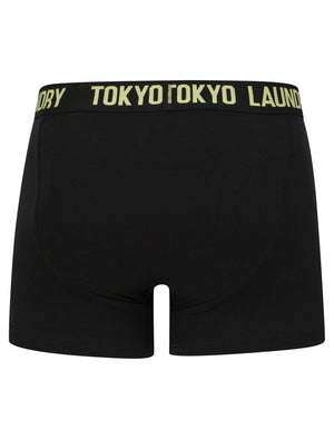 Spafield (2 Pack) Boxer Shorts Set in Sunshine / Pink Nectar - Tokyo Laundry