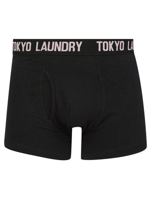 Spafield (2 Pack) Boxer Shorts Set in Sunshine / Pink Nectar - Tokyo Laundry