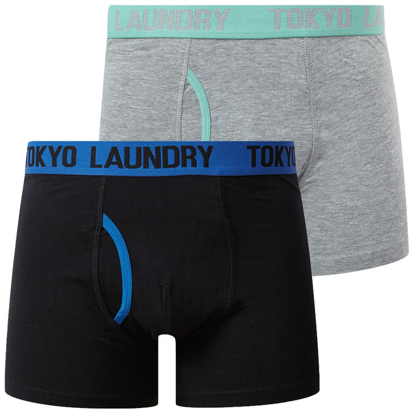 Spencer (2 Pack) Boxer Shorts Set in Olympian Blue / Dusty Jade Green - Tokyo Laundry