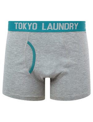 Spencer (2 Pack) Boxer Shorts Set in Dubarry Coral / Bayou - Tokyo Laundry