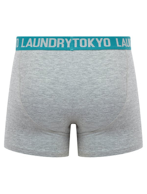 Spencer (2 Pack) Boxer Shorts Set in Dubarry Coral / Bayou - Tokyo Laundry