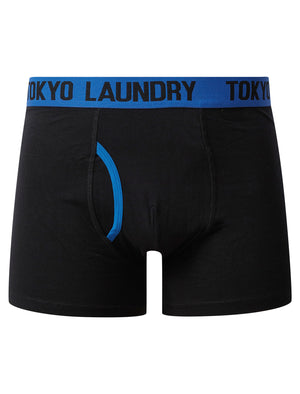 Spencer (2 Pack) Boxer Shorts Set in Olympian Blue / Dusty Jade Green - Tokyo Laundry