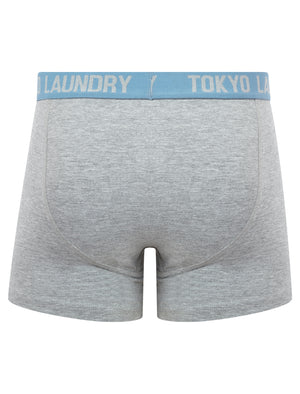 Spencer (2 Pack) Boxer Shorts Set in Papaya / Blue Shadow - Tokyo Laundry