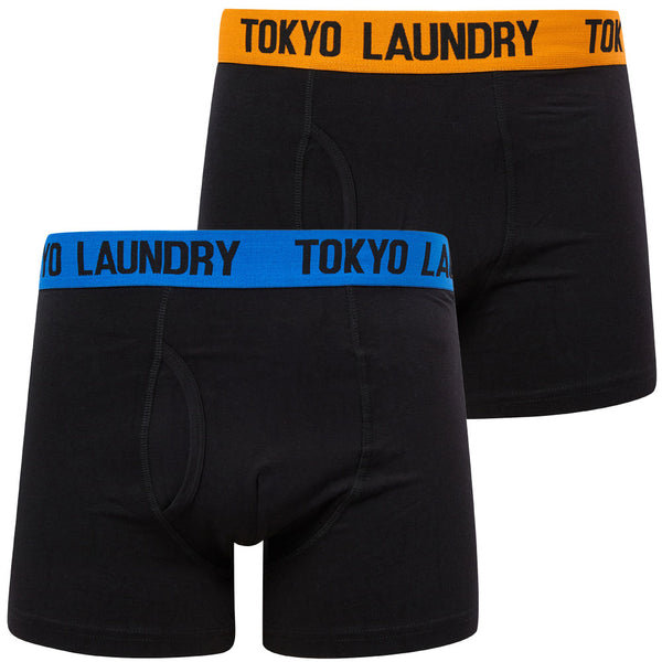 Southey (2 Pack) Boxer Shorts Set in Autumn Glory / Princess Blue - Tokyo Laundry
