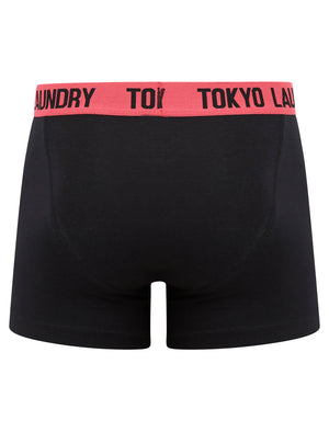 Southey (2 Pack) Boxer Shorts Set in Raspberry / Mint - Tokyo Laundry