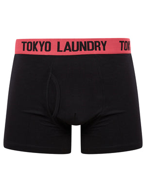 Southey (2 Pack) Boxer Shorts Set in Raspberry / Mint - Tokyo Laundry