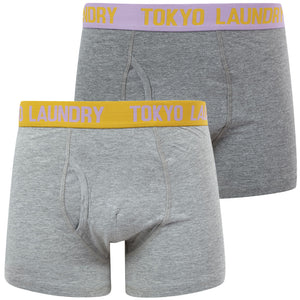 Starcross (2 Pack) Boxer Shorts Set in Artisan's Gold / Viola - Tokyo Laundry