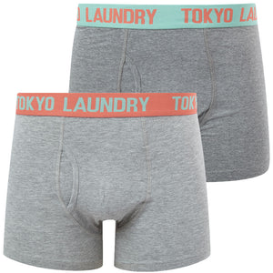 Starcross (2 Pack) Boxer Shorts Set in Dubarry Coral / Dusty Jade Green - Tokyo Laundry